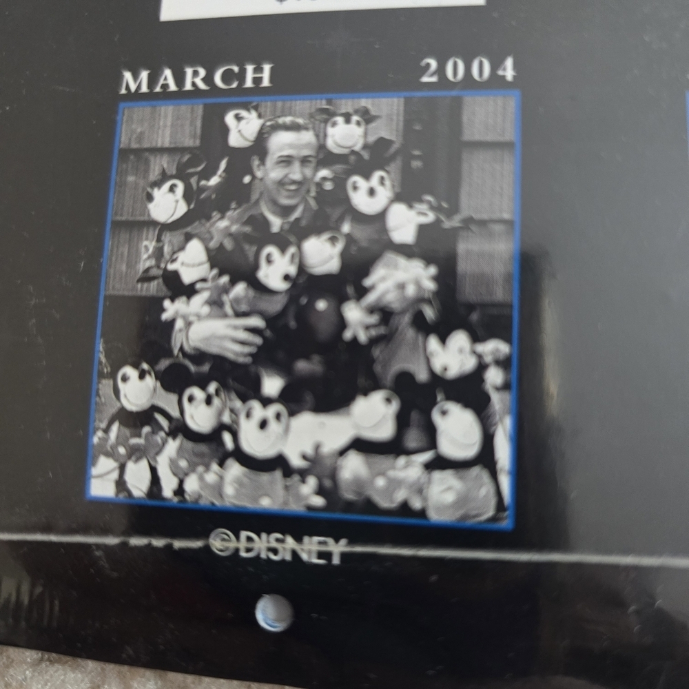 2004 Walt Disney World Epcot Center Calendar Magic Kingdom Vintage - Picture 16 of 16